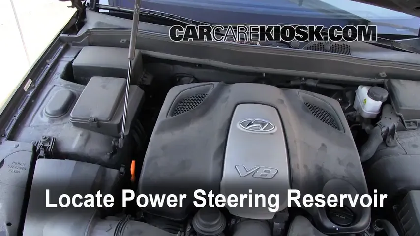 2009 Hyundai Genesis 4.6 4.6L V8 Power Steering Fluid